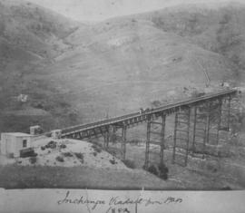Inchanga, 1884. View of viaduct from the Pietermaritzburg end.