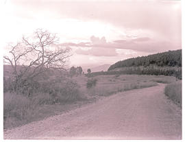 "Nelspruit district, 1971. Road near Kaapsche Hoop."