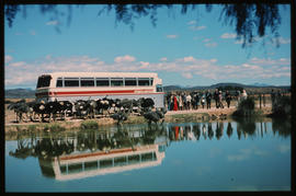 Oudtshoorn district. SAR Silver Eagle tour bus at Highgate ostrich farm. SAR Tourist Service.