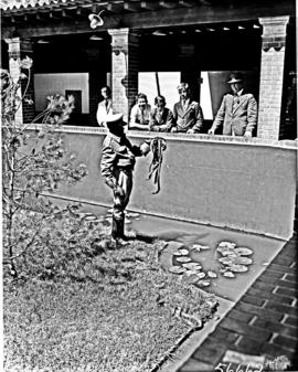 Port Elizabeth, 1950. Snake park with snake handler Johannes Molikoe.