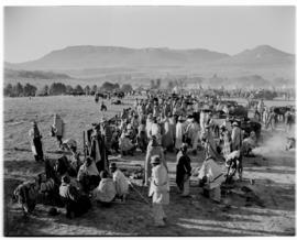 Basutoland, 12 March 1947. Basuto encampment. Huts, horses free in a field.