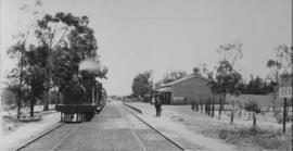 Despatch, 1895. Cape 4th Class Stephenson, later SAR Class 04 class on train in station. (EH Short)
