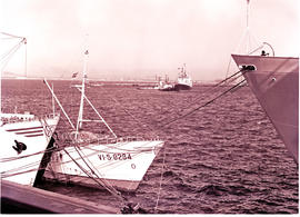 "Cape Town, 1964. Table Bay harbour."