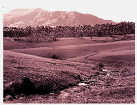 "Graskop district, 1968. Mac-Mac pools with plantation in the distance."