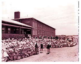 Springs, 1954. Afrikaans junior school.