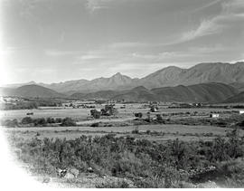Tulbagh district, 1966.