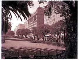 "Johannesburg, 1964. City park."