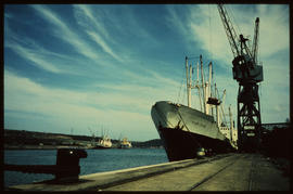 East London, 1972. 'Horizon' berthed in Buffalo Harbour.