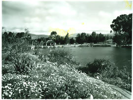 George district, 1954. Gardens around a lake.