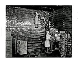 Paarl, 1945. Canning factory, stacking cans.