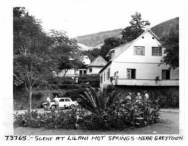 Greytown district, 1964. Lilani hot springs and mineral baths.