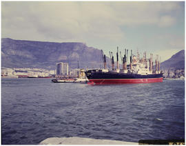 Cape Town, June 1967. Harbour scene in Table Bay harbour.