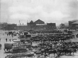 Johannesburg, 1903. Market Square.