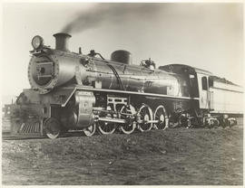 Bethulie, 1954. Bethulie, 1954. SAR Class 19C No 2484 OR No 2464.