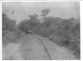 Circa 1902. Construction Durban - Mtubatuba: Trolley on line through bush at 62 miles. (Album on ...