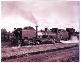 Humansdorp district, 1951. SAR Class NGG16 No 125 built by Beyer Peacock standing at Thornhill st...