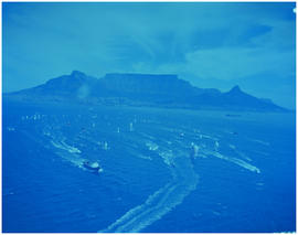 Cape Town, January 1973. Start of Cape to Rio yacht race.