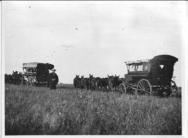 Circa 1902. Construction Durban - Mtubatuba: Parliamentary group in three animal-drawn vehicles o...