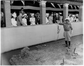 Port Elizabeth, 26 February 1947.  Royal family visiting the snake park while snake handler Johan...