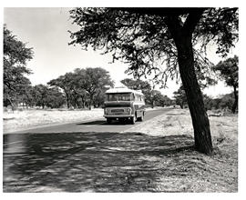 Windhoek district, South-West Africa, 1966. SAR GUY motor coach No MT6913. (Guy Motors founded by...