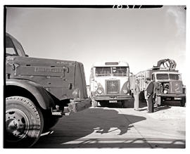 Outjo, South-West Africa, 1961. SAR Henschel bus No MT15513 and SAR Henschel truck No MT14415 at ...