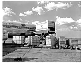
SAA Boeing 707 ZS-CKD 'Cape Town' being loaded with fruit.
