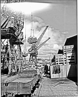 Port Elizabeth, 1948. Cranes loading bags from trains in Port Elizabeth harbour.
