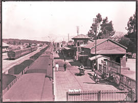 Wellington. Main line passenger and goods train in station.