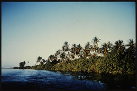 Mozambique, July 1969. Komati River near Villa Luiza. [JA Etsebeth]