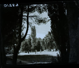 "Kroonstad, 1940. Public park."