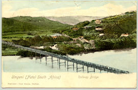 Natal. Railway bridge over the Umgeni River. (Publisher Fred Hamm, Durban)