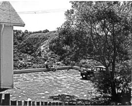 Port Elizabeth, 1950. Lookout point over valley.