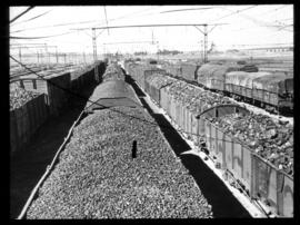 Angelo. SAR coal trains.