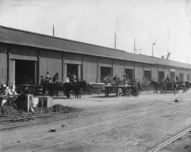 Durban. Goods shed with horses and wagons.