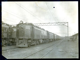 Ladysmith district. Line of SAR Class 1E's at Daimana, later Danskraal.