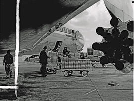 
SAA Boeing 707 ZS-CKC 'Johannesburg'. Loading cargo of South African fruit.
