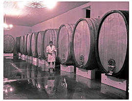 Paarl district, 1975. Wine cellar with large wine vats.