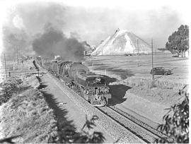 Johannesburg, 1945. SAR Class GM with goods train on the West Rand.