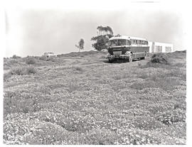 "Namaqualand, 1963. SAR Canadian Brill MT16915 motor coach amidst wildflowers."