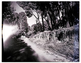 "Aliwal North, 1952. Path on the bank of the Orange River."