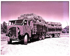 Prince Alfred Hamlet, 1952. SAR Leyland Hippo truck No MT960 with trailer, stacked with bales.