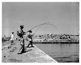 Hermanus, 1955. Fishing.