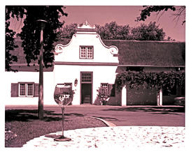Paarl district, 1975. Nederburg wine estate.