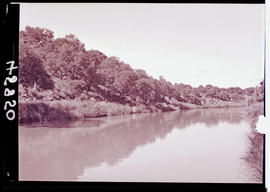 "Ladysmith, 1938. Klip River."