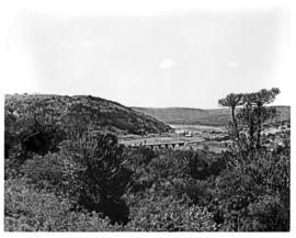 "Port Alfred district, 1971. River valley."
